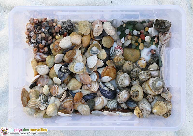 trésors ramassés sur la plage par des enfants 