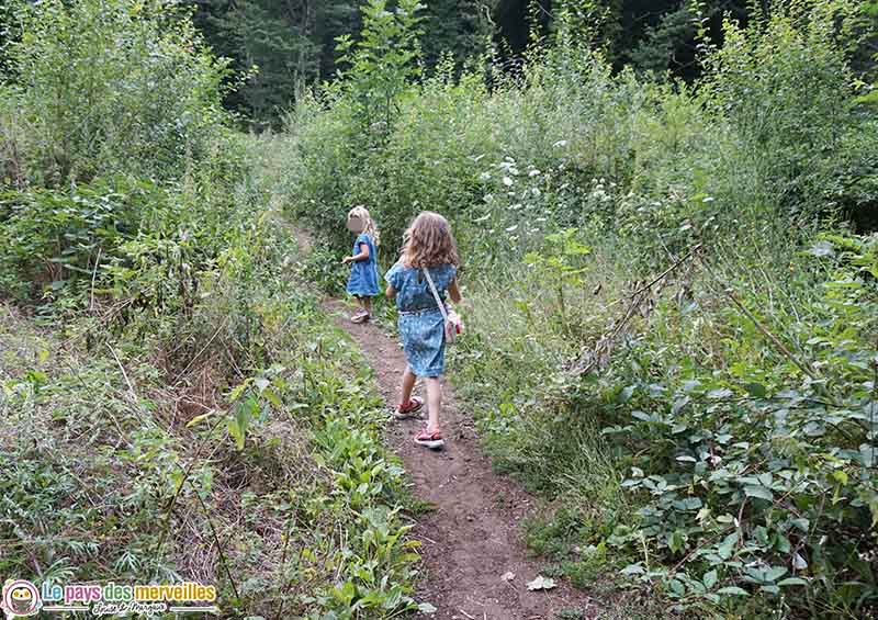 balade dans la forêt de Volvic