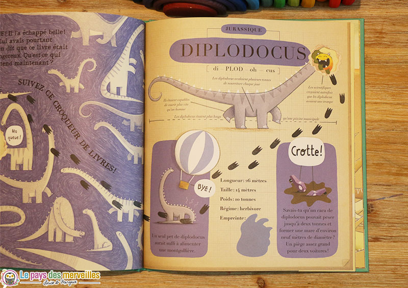 diplodocus