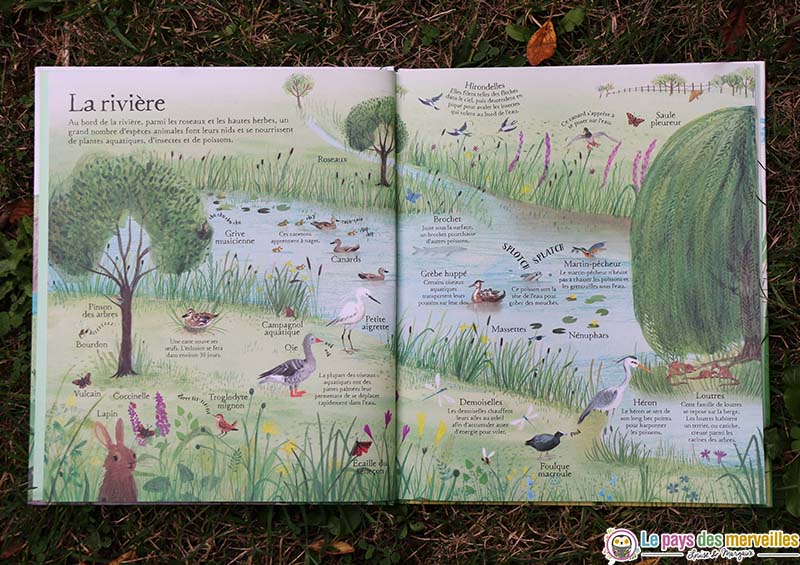 Illustration détaillée rivière