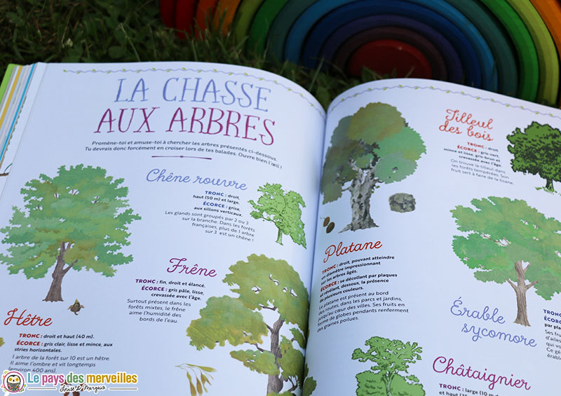 la chasses aux arbres