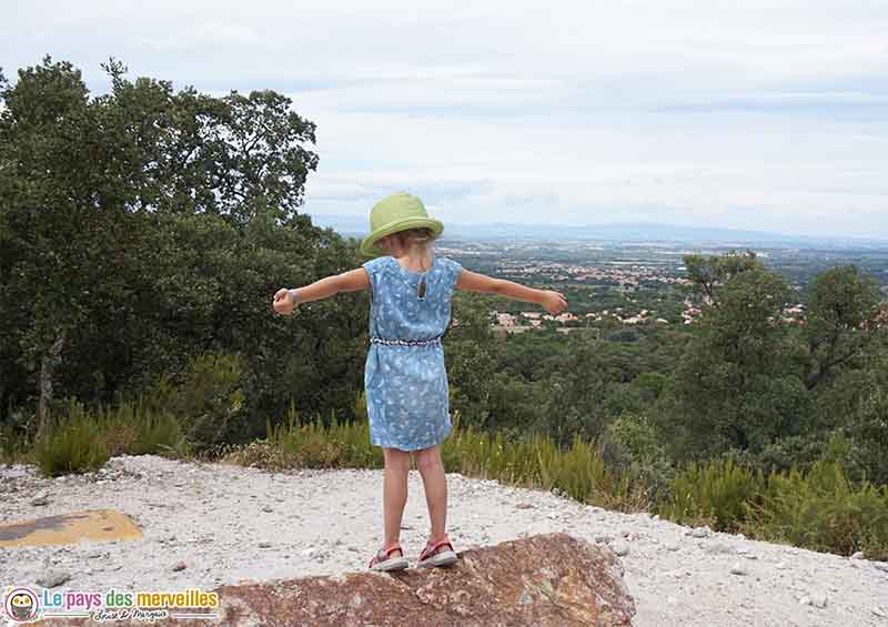 Vue sur Laroque-des-Albères