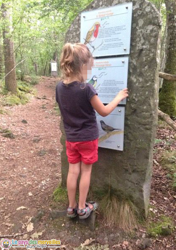 sentier pédagogique Le théâtre de la forêt à Volvic