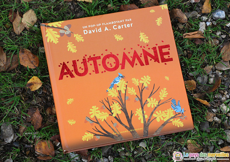 Automne David A. Carter