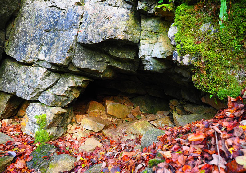 photo d'une grotte en automne