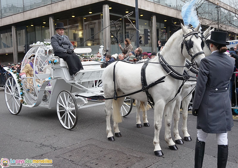 Chevaux lors de la parade du nouvel an à Londres