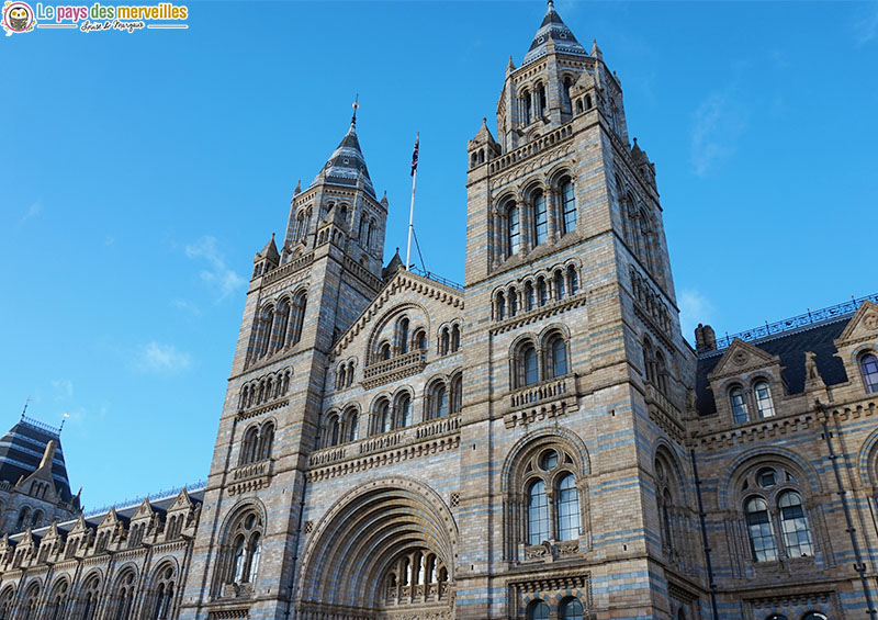 Natural History Museum london