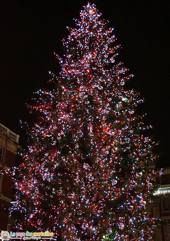 Sapin géant Covent Garden la nuit