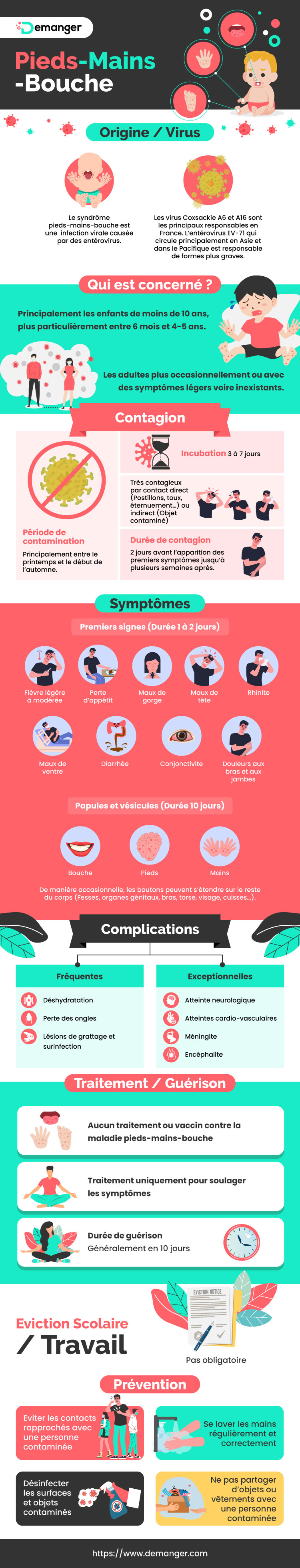 infographie syndrome pieds-mains-bouche