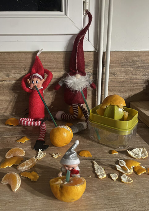 bêtise de lutin avec des clementines