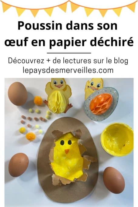 Poussin dans son œuf en papier déchiré