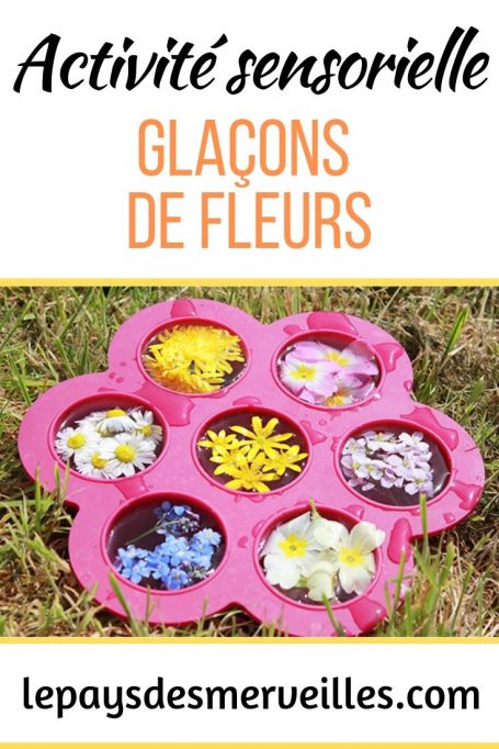 Activité sensorielle avec des glaçons de fleurs