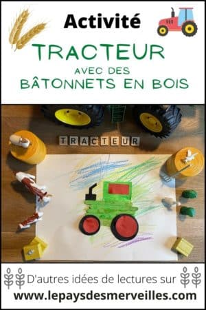 300 Bâtonnets Bois Rayher - 5,5x0,5 Cm - Naturel FSC 100% - Pour Bricolage, Crafts, Spatules