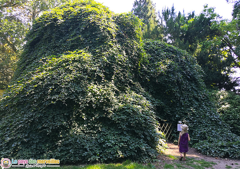 arbre cabane au domaine d'Harcourt