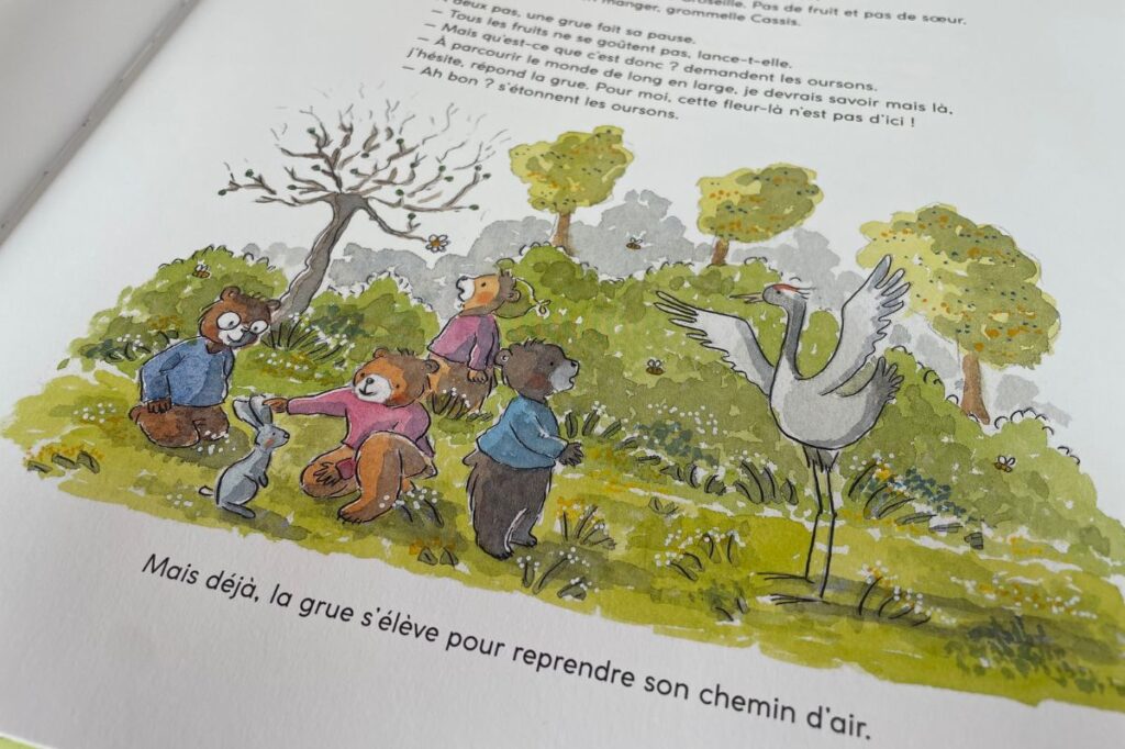 Livre enfant avec des ours