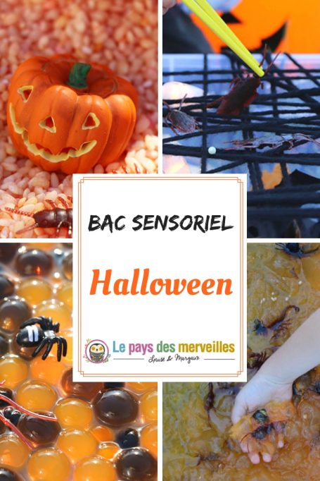 Bac sensoriel Halloween