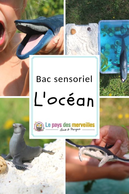 Bac sensoriel de l'océan