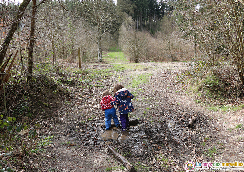 Sortir en forêt avec les enfants 