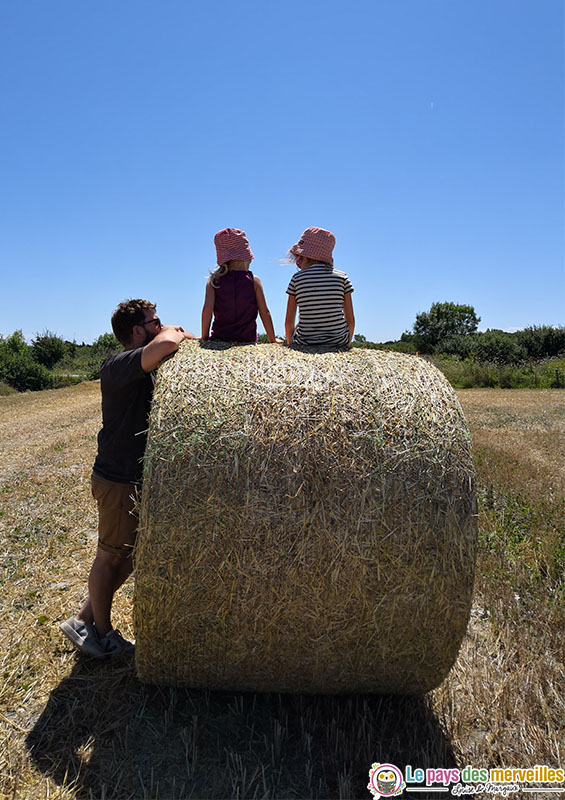 Photo sur la paille en Vendée