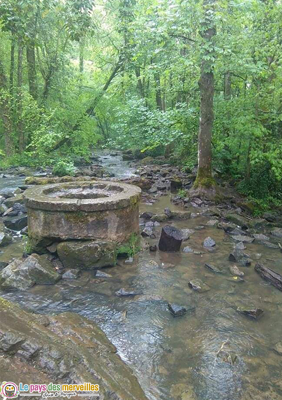 Randonnée avec petite cascade Potigny