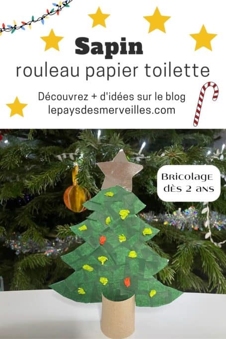 Sapin avec un rouleau de papier toilette comme support 