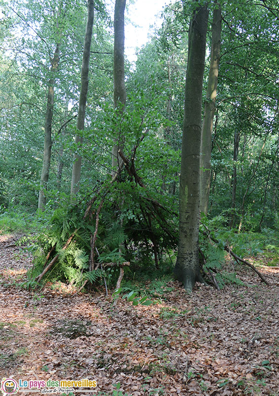 Cabane dans la forêt