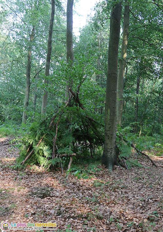 Cabane dans la forêt
