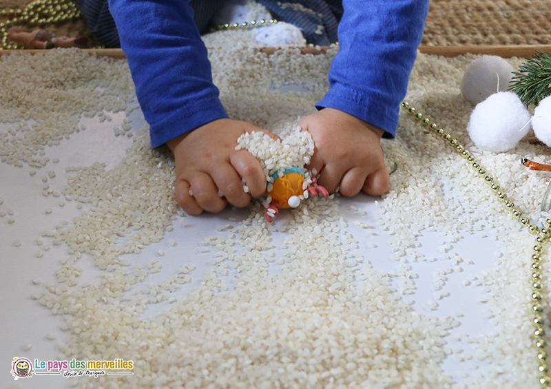 cacher des figurines dans du riz