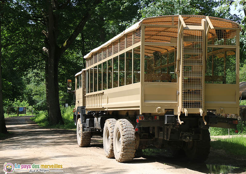 Safari en camion brousse