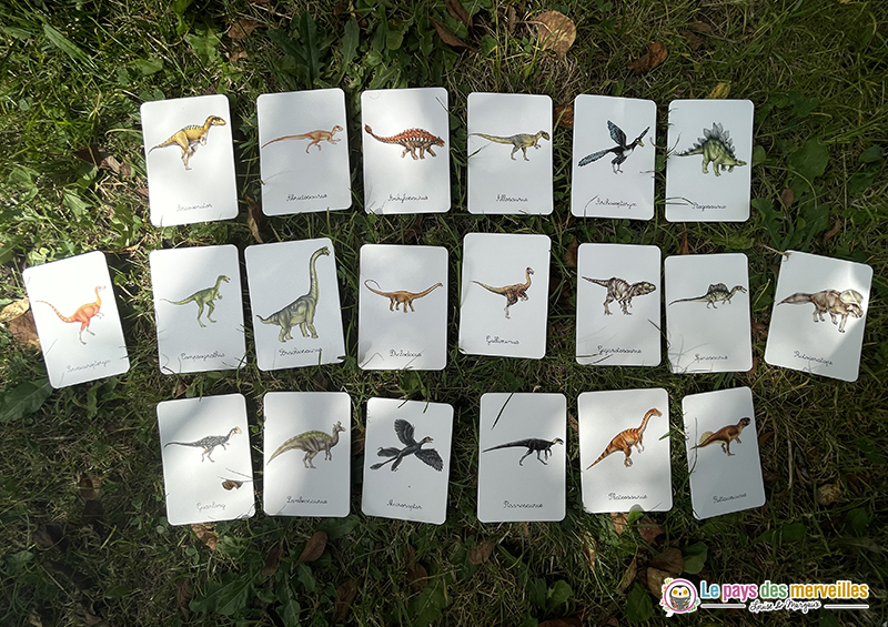cartes légendées dinosaures