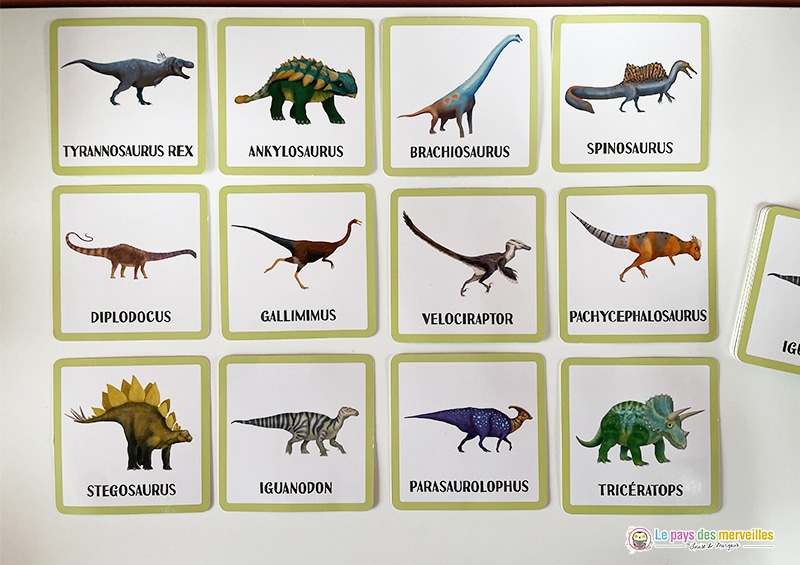 cartes mémo les dinosaures