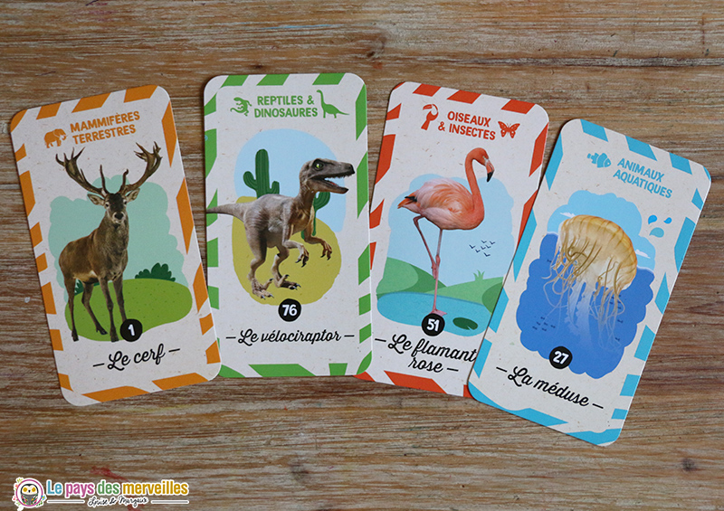 Cartes questions animaux 