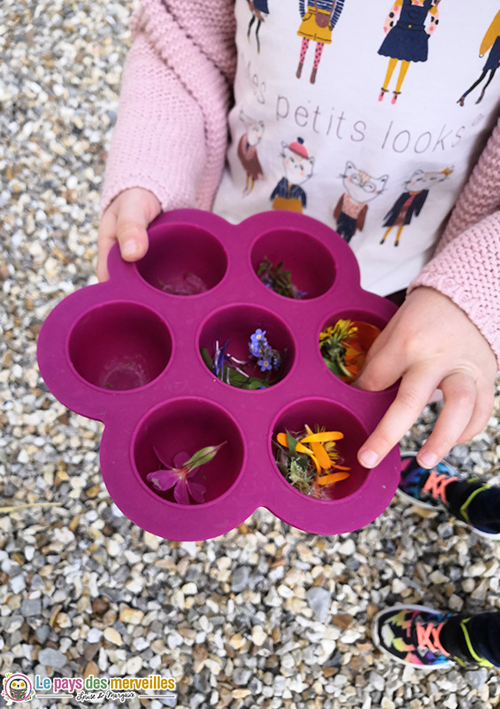 fleurs dans les alvéoles d'un moule