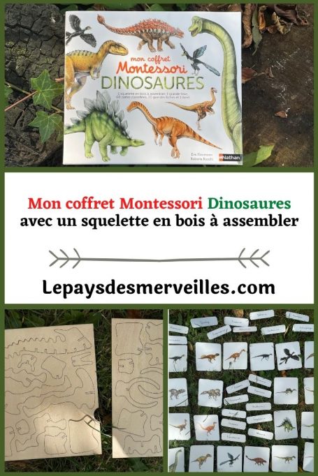 coffret montessori dinosaures