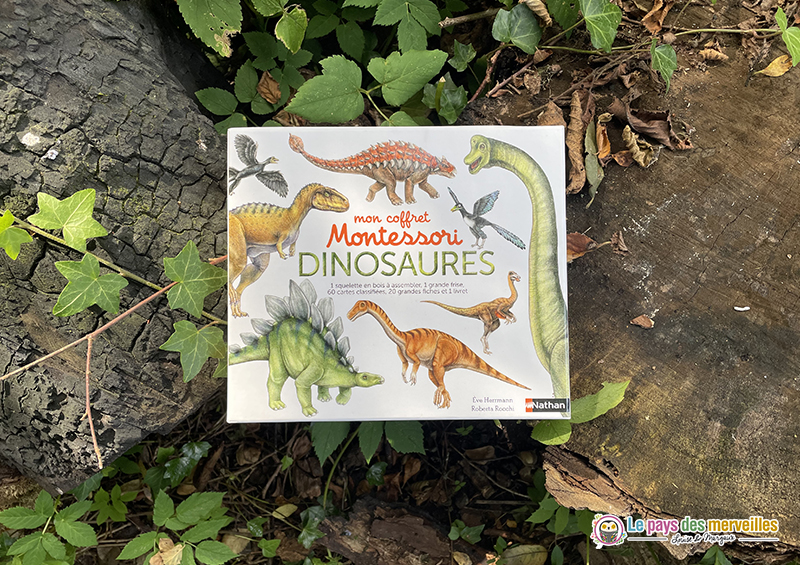 Mon coffret Montessori dinosaures éditions Nathan