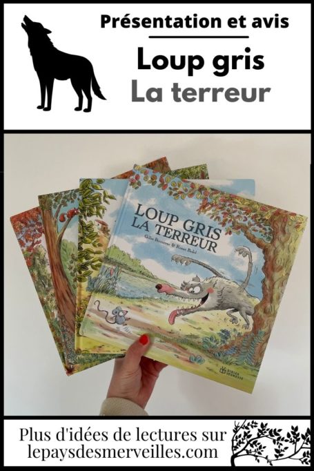 Livre loup gris la terreur de Gilles Bizouerne