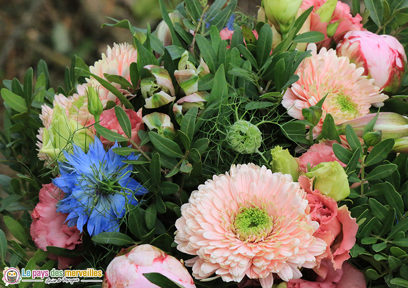 bouquet de fleurs rose et bleu