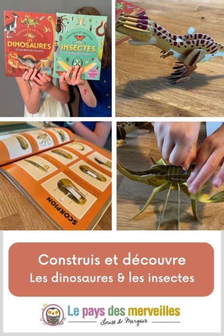 Construis et découvre les insectes et les dinosaures 