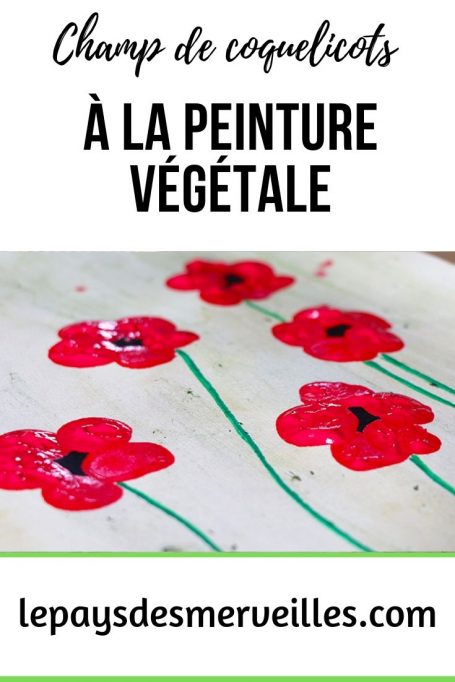 Champ de coquelicots à la peinture végétale