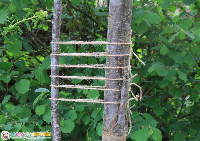 Corde nouée entre deux arbres