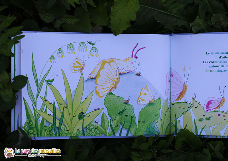 Dessins nature livre