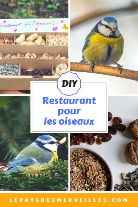 Mangeoire restaurant pour les oiseaux 