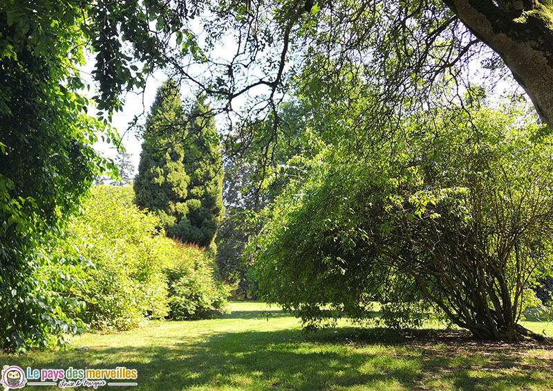 Arboretum d'Harcourt en été