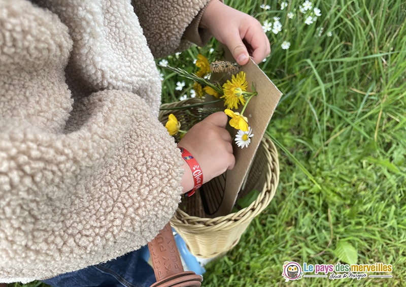 enfoncer tige de fleurs dans un trou percé dans du carton