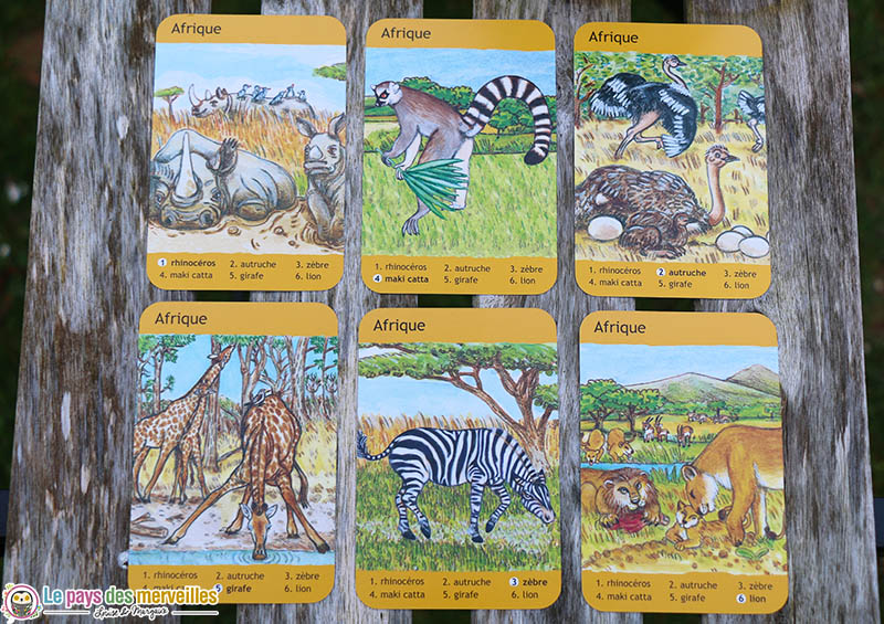 Jeu de 7 familles : famille animaux d'Afrique 