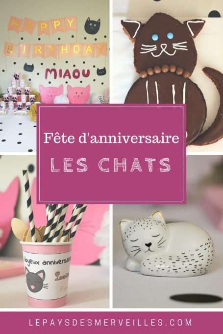 Sa Fete D Anniversaire Sur Le Theme Des Chats 7 Ans