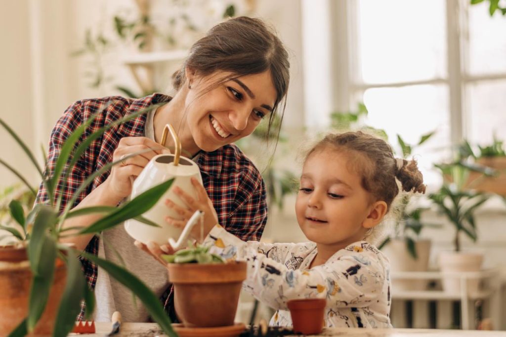 plante à faire pousser, fête des Mères