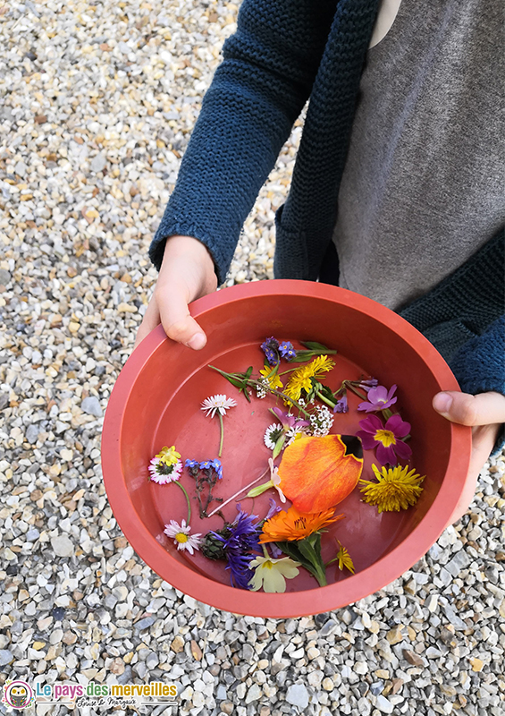 ramasser des fleurs pour faire un glaçon