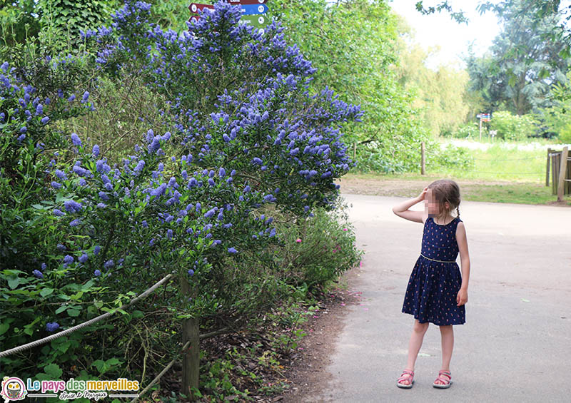 allée fleurie du zoo de Thoiry