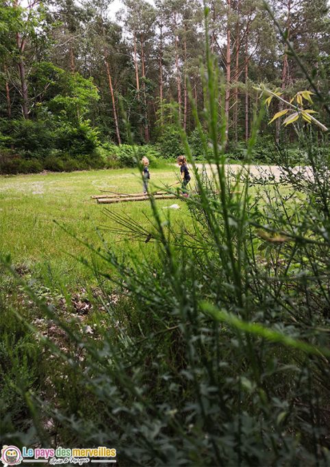 Activité en famille en forêt